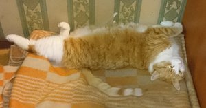 DSC_0010.jpg (3767 просмотров) <a class='original' href='./download/file.php?id=74618&mode=view' target=_blank>Загрузить оригинал (608.58 КБ)</a>