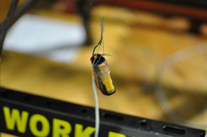 граффити робот.JPG (6740 просмотров) <a class='original' href='./download/file.php?id=747&mode=view' target=_blank>Загрузить оригинал (338.72 КБ)</a>