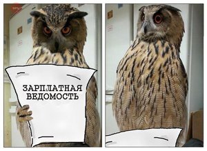 dQ2mnhl82AM.jpg (1626 просмотров) <a class='original' href='./download/file.php?id=74843&mode=view' target=_blank>Загрузить оригинал (66.81 КБ)</a>