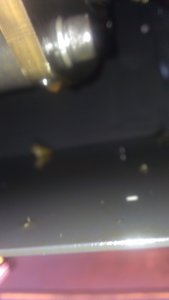 IMAG0029.jpg (1850 просмотров) <a class='original' href='./download/file.php?id=75089&mode=view' target=_blank>Загрузить оригинал (1.19 МБ)</a>