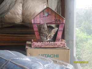 01.jpg (3710 просмотров) <a class='original' href='./download/file.php?id=75490&mode=view' target=_blank>Загрузить оригинал (196.89 КБ)</a>