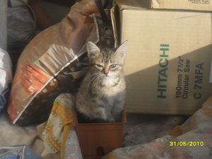 02.jpg (3709 просмотров) <a class='original' href='./download/file.php?id=75491&mode=view' target=_blank>Загрузить оригинал (164.73 КБ)</a>