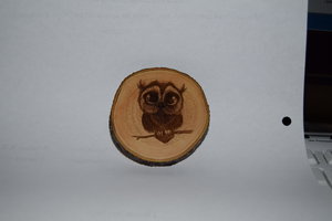 DSC_0037.JPG (3319 просмотров) <a class='original' href='./download/file.php?id=75732&mode=view' target=_blank>Загрузить оригинал (6.87 МБ)</a>