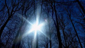 весна-в-лесу.jpg (3978 просмотров) <a class='original' href='./download/file.php?id=76152&mode=view' target=_blank>Загрузить оригинал (97.58 КБ)</a>