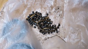 IMG_1536-1.jpg (6225 просмотров) <a class='original' href='./download/file.php?id=76261&mode=view' target=_blank>Загрузить оригинал (614.21 КБ)</a>