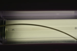 _DSC0258.JPG (4762 просмотра) <a class='original' href='./download/file.php?id=77130&mode=view' target=_blank>Загрузить оригинал (7.91 МБ)</a>