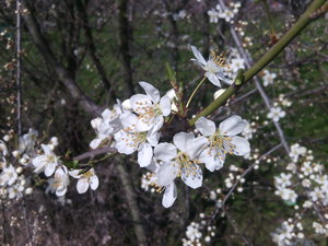 2016-04-09 22.52.54_152.jpg (3953 просмотра) <a class='original' href='./download/file.php?id=77447&mode=view' target=_blank>Загрузить оригинал (883.75 КБ)</a>