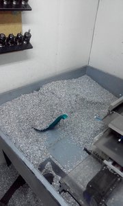 IMG_20160503_164821.jpg (2139 просмотров) <a class='original' href='./download/file.php?id=79115&mode=view' target=_blank>Загрузить оригинал (352.21 КБ)</a>