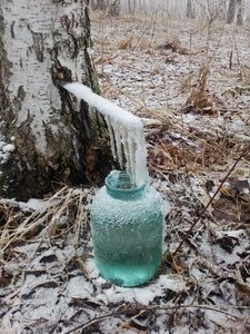 сок.jpg (1517 просмотров) <a class='original' href='./download/file.php?id=79167&mode=view' target=_blank>Загрузить оригинал (502.4 КБ)</a>