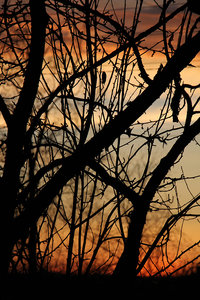 Закт (3914 просмотров) <a class='original' href='./download/file.php?id=79411&mode=view' target=_blank>Загрузить оригинал (1018.1 КБ)</a>