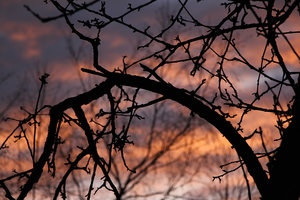 006.jpg (3914 просмотров) <a class='original' href='./download/file.php?id=79412&mode=view' target=_blank>Загрузить оригинал (1 МБ)</a>