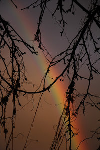 011.jpg (3914 просмотров) <a class='original' href='./download/file.php?id=79417&mode=view' target=_blank>Загрузить оригинал (785.58 КБ)</a>