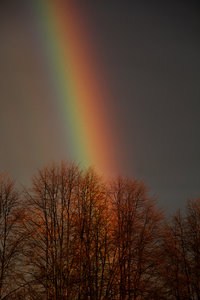 012.jpg (3914 просмотров) <a class='original' href='./download/file.php?id=79418&mode=view' target=_blank>Загрузить оригинал (1.03 МБ)</a>