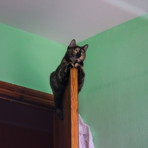 _DSC1739.jpg (3567 просмотров) <a class='original' href='./download/file.php?id=80446&mode=view' target=_blank>Загрузить оригинал (3.88 МБ)</a>