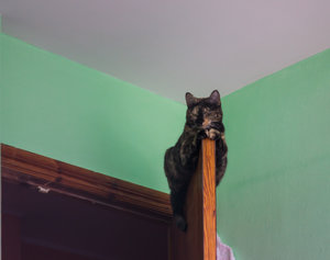 _DSC1740.jpg (3567 просмотров) <a class='original' href='./download/file.php?id=80447&mode=view' target=_blank>Загрузить оригинал (3.95 МБ)</a>