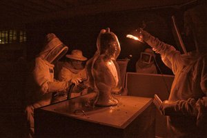 Pp8DP2YAmvI.jpg (1597 просмотров) <a class='original' href='./download/file.php?id=80461&mode=view' target=_blank>Загрузить оригинал (81.9 КБ)</a>