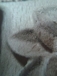 20160525_205411.jpg (3161 просмотр) <a class='original' href='./download/file.php?id=80981&mode=view' target=_blank>Загрузить оригинал (1.32 МБ)</a>