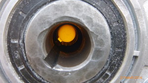 P1000730.JPG (2135 просмотров) <a class='original' href='./download/file.php?id=81208&mode=view' target=_blank>Загрузить оригинал (5.01 МБ)</a>