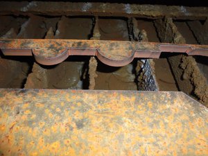 DSC04124 (Копировать).JPG (2813 просмотров) <a class='original' href='./download/file.php?id=81284&mode=view' target=_blank>Загрузить оригинал (342.55 КБ)</a>