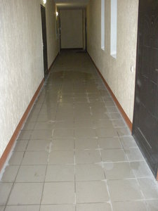 DSCN0250.JPG (2066 просмотров) <a class='original' href='./download/file.php?id=81310&mode=view' target=_blank>Загрузить оригинал (1.6 МБ)</a>