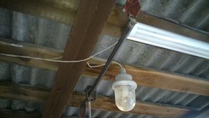 DSC_1372.JPG (2846 просмотров) <a class='original' href='./download/file.php?id=81628&mode=view' target=_blank>Загрузить оригинал (774.2 КБ)</a>