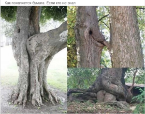 Screenshot - 07.05.2016 , 7_27_47.png (2414 просмотров) <a class='original' href='./download/file.php?id=81934&mode=view' target=_blank>Загрузить оригинал (585.63 КБ)</a>