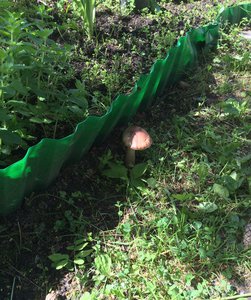 image.jpg (2358 просмотров) <a class='original' href='./download/file.php?id=82271&mode=view' target=_blank>Загрузить оригинал (853.52 КБ)</a>