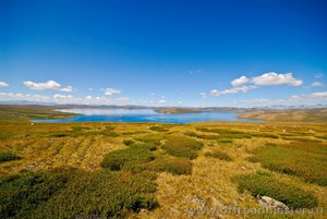 z_0d364bdf.jpg (3796 просмотров) <a class='original' href='./download/file.php?id=82769&mode=view' target=_blank>Загрузить оригинал (353.24 КБ)</a>