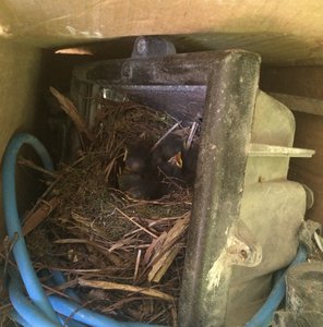 image.jpg (3777 просмотров) <a class='original' href='./download/file.php?id=82794&mode=view' target=_blank>Загрузить оригинал (954.38 КБ)</a>