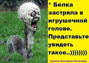 3cb91b6s-960.jpg (2727 просмотров) <a class='original' href='./download/file.php?id=83288&mode=view' target=_blank>Загрузить оригинал (133.07 КБ)</a>