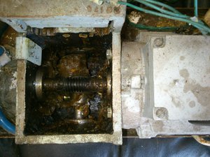 двигатель аир56а2у3 с червячным редуктором (1268 просмотров) <a class='original' href='./download/file.php?id=83350&mode=view' target=_blank>Загрузить оригинал (1.82 МБ)</a>