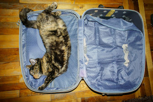 _DSC9511.jpg (3488 просмотров) <a class='original' href='./download/file.php?id=83424&mode=view' target=_blank>Загрузить оригинал (805.43 КБ)</a>