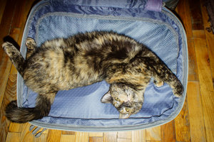 _DSC9513.jpg (3488 просмотров) <a class='original' href='./download/file.php?id=83425&mode=view' target=_blank>Загрузить оригинал (855.71 КБ)</a>