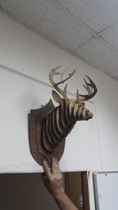 Братишка забрал себе в салон )))) (6008 просмотров) <a class='original' href='./download/file.php?id=83491&mode=view' target=_blank>Загрузить оригинал (593.23 КБ)</a>