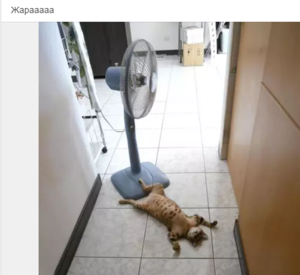 Screenshot - 28.06.2016 , 4_54_32.png (2264 просмотра) <a class='original' href='./download/file.php?id=83552&mode=view' target=_blank>Загрузить оригинал (211.14 КБ)</a>