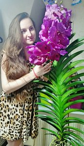 besrmTaoU5M.jpg (2923 просмотра) <a class='original' href='./download/file.php?id=84376&mode=view' target=_blank>Загрузить оригинал (126.88 КБ)</a>