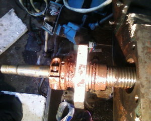 X (5435 просмотров) <a class='original' href='./download/file.php?id=8446&mode=view' target=_blank>Загрузить оригинал (234.36 КБ)</a>