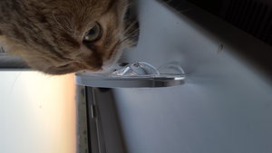 20160809_201539.jpg (3426 просмотров) <a class='original' href='./download/file.php?id=86614&mode=view' target=_blank>Загрузить оригинал (3.02 МБ)</a>