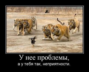 268.jpg (4984 просмотра) <a class='original' href='./download/file.php?id=8792&mode=view' target=_blank>Загрузить оригинал (58.96 КБ)</a>