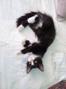 P60903-165815.jpg (3253 просмотра) <a class='original' href='./download/file.php?id=88334&mode=view' target=_blank>Загрузить оригинал (3.77 МБ)</a>