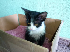 P60903-155226.jpg (3253 просмотра) <a class='original' href='./download/file.php?id=88335&mode=view' target=_blank>Загрузить оригинал (4 МБ)</a>