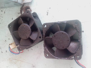 IMG_20160907_125600.jpg (2672 просмотра) <a class='original' href='./download/file.php?id=89507&mode=view' target=_blank>Загрузить оригинал (1.27 МБ)</a>