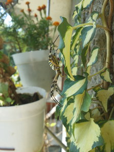 20160908_135959.jpg (2265 просмотров) <a class='original' href='./download/file.php?id=89599&mode=view' target=_blank>Загрузить оригинал (2.69 МБ)</a>