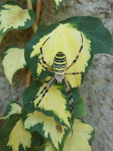 20160908_140156.jpg (2265 просмотров) <a class='original' href='./download/file.php?id=89600&mode=view' target=_blank>Загрузить оригинал (2.65 МБ)</a>