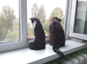 P60912-063433[1].jpg (2857 просмотров) <a class='original' href='./download/file.php?id=90240&mode=view' target=_blank>Загрузить оригинал (3.26 МБ)</a>