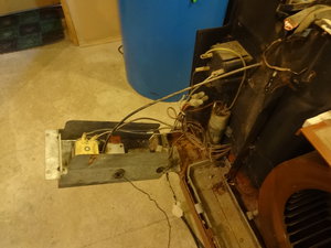 DSC08079.JPG (2919 просмотров) <a class='original' href='./download/file.php?id=90585&mode=view' target=_blank>Загрузить оригинал (1.92 МБ)</a>