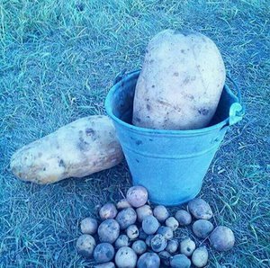 image-0-02-01-506af4af0053dea616734207bf9f5769e7bb74ee9ded7ac45ca882483e79d14c-V.jpg (2217 просмотров) <a class='original' href='./download/file.php?id=90933&mode=view' target=_blank>Загрузить оригинал (443.15 КБ)</a>