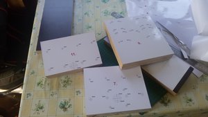 20160625_090228.jpg (2916 просмотров) <a class='original' href='./download/file.php?id=91108&mode=view' target=_blank>Загрузить оригинал (1.5 МБ)</a>