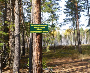 P1060339_cr.jpg (2834 просмотра) <a class='original' href='./download/file.php?id=91801&mode=view' target=_blank>Загрузить оригинал (1.62 МБ)</a>