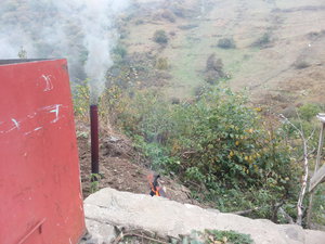 IMG_20161003_154158.jpg (3043 просмотра) <a class='original' href='./download/file.php?id=91875&mode=view' target=_blank>Загрузить оригинал (4.88 МБ)</a>